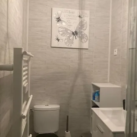 Au Ptit Palais Appartement Châtellerault Buitenkant foto